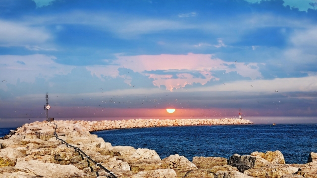 新员工转正全流程（制度+标准+评价+表格）